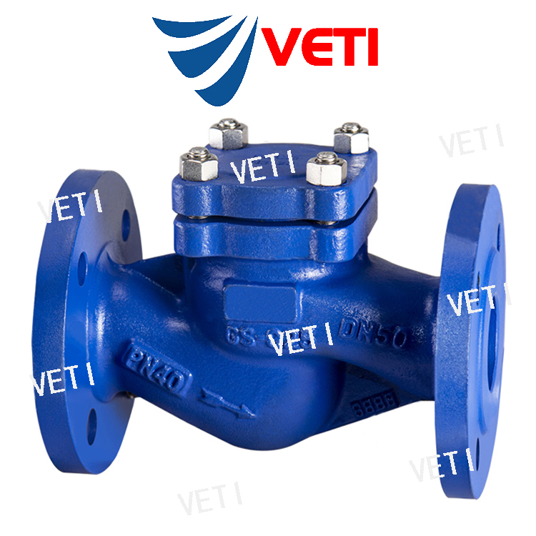 进口蒸汽止回阀-进口蒸汽止回阀品牌商-美国VETI/威迪阀门